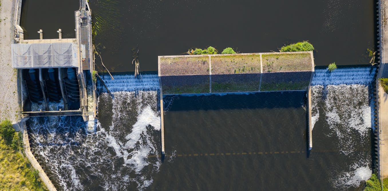 River wildlife moves freely once dams are removed – but so too can invasive species