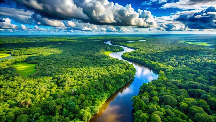 drone shot of lush amazon rainforest, river running through trees, blue sky