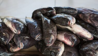 What Kenya’s fish markets tell us about choosing between nutrients and contaminants