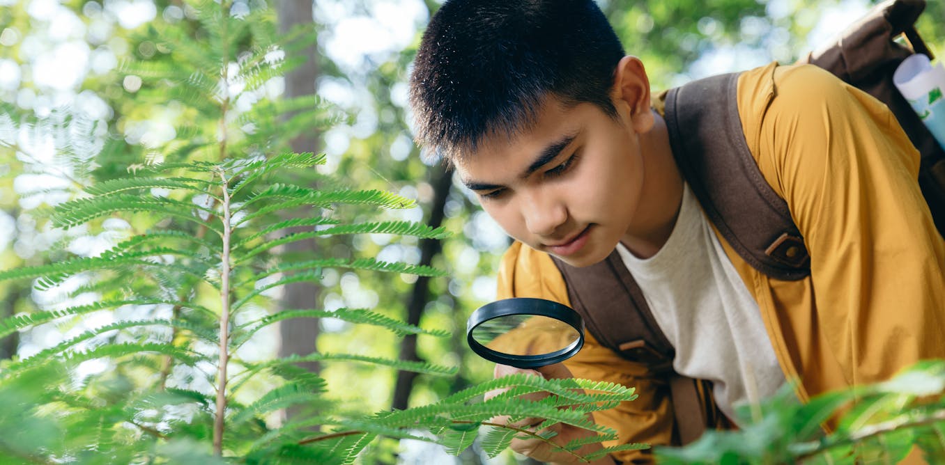 Eco-literate children can be stewards of nature – here’s how to boost environmental education