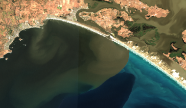 Flooding rains, ocean gains: how a huge Murray flood gave the sea a feast