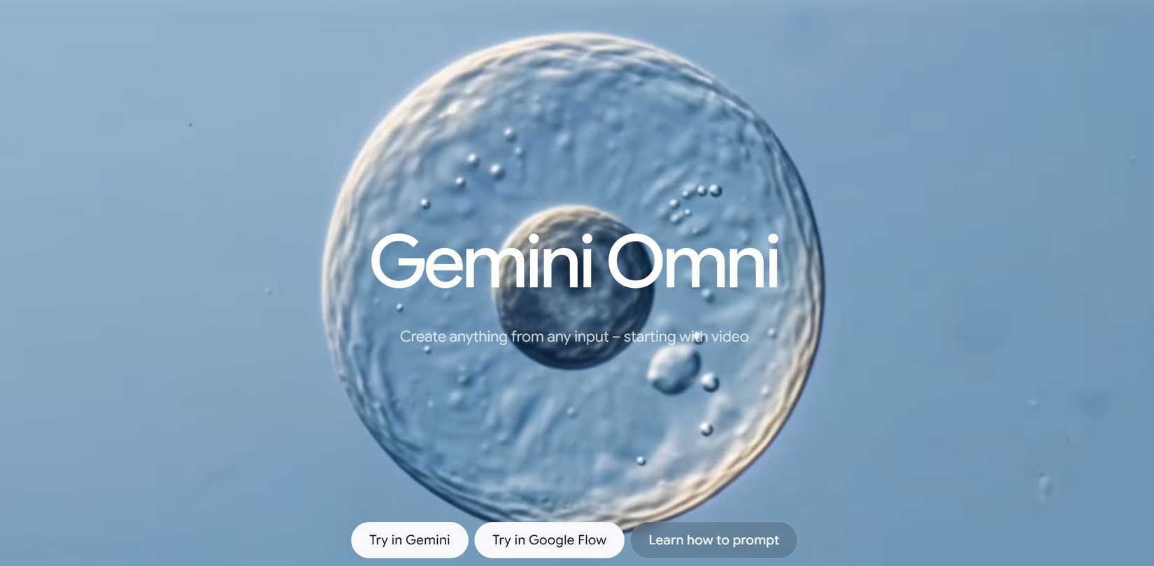 Gemini Omni