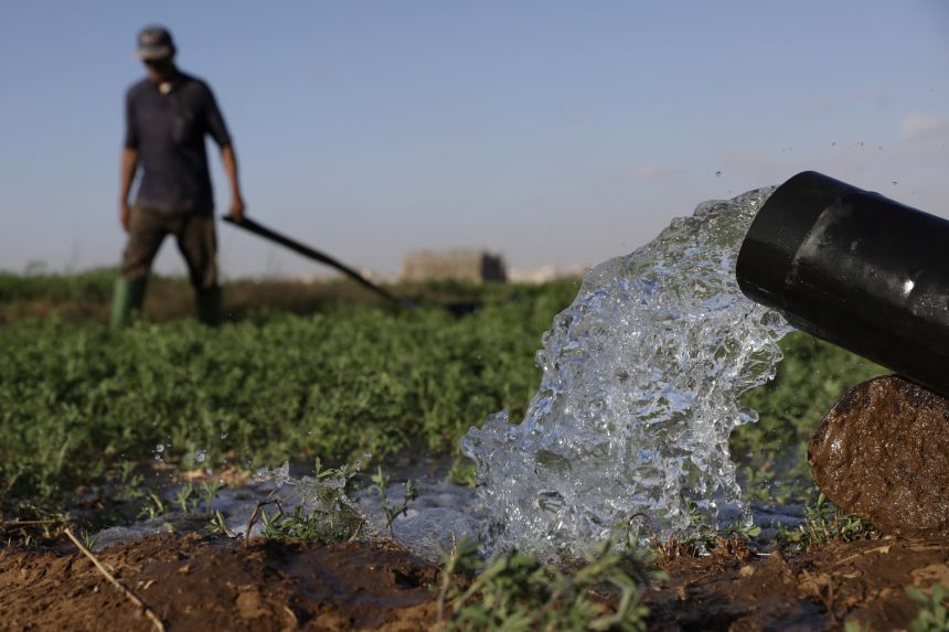 In the Chtouka Aït Baha region of Morocco, a<strong> </strong>farmer irrigates a field with desalinated water. After years of drought, many farmers see it as the only way forward.