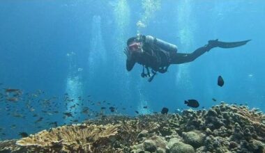 ‘The ocean has no boundaries’: Beauty and life in a war zone