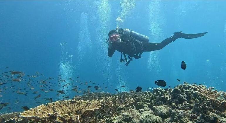 ‘The ocean has no boundaries’: Beauty and life in a war zone