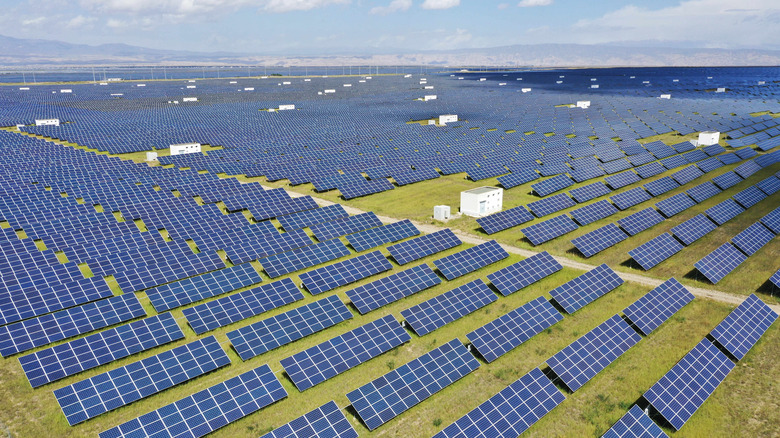 Solar panels covering a large green field