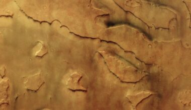 These Mars valleys are hiding 30 dust devils photo of the day for June 18, 2026