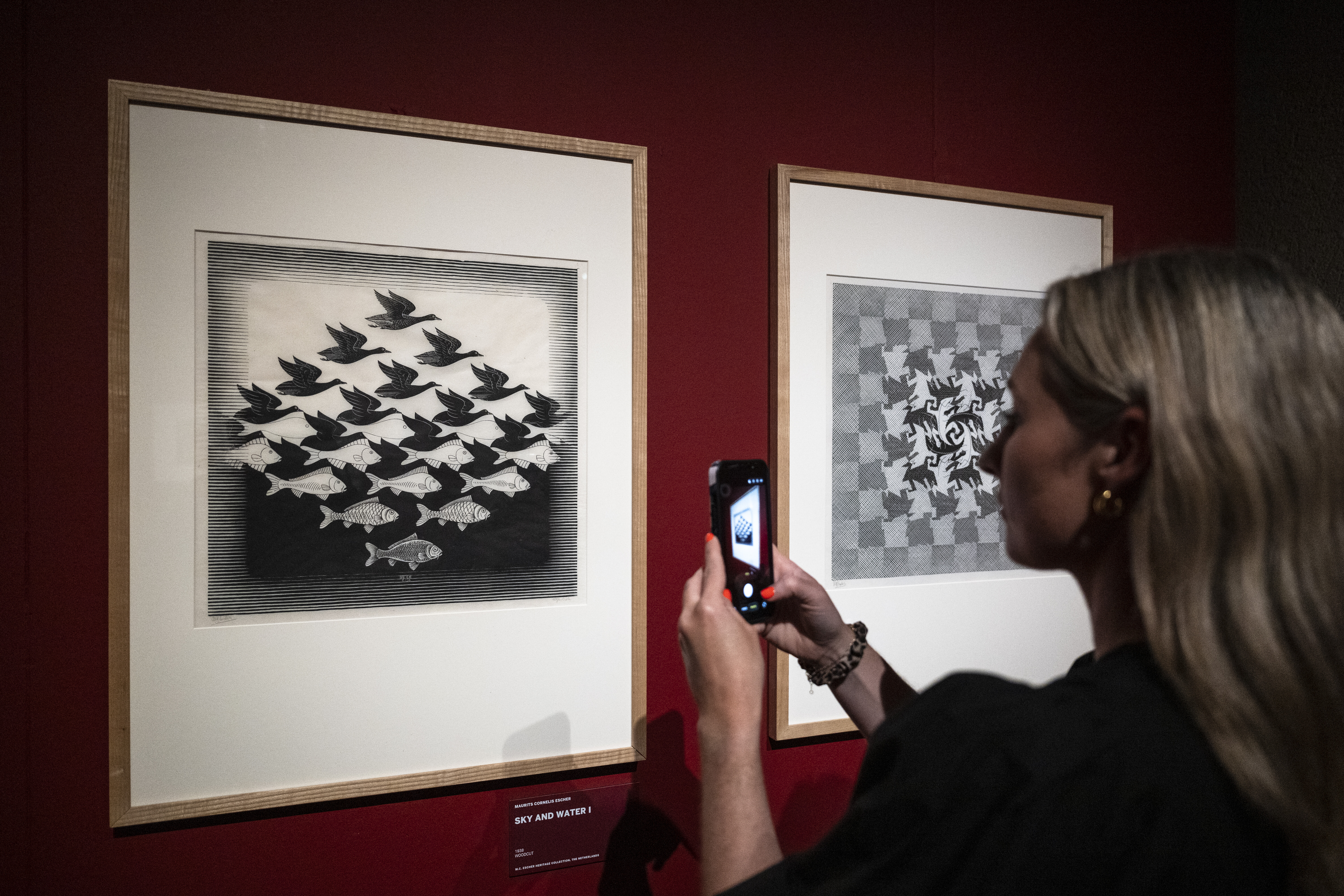 A visitor photographs Escher's Sky and Water I on a deep red gallery wall, the woodcut's interlocking birds and fish mid-transformation captured on her phone screen as a second tessellation print hangs alongside it.