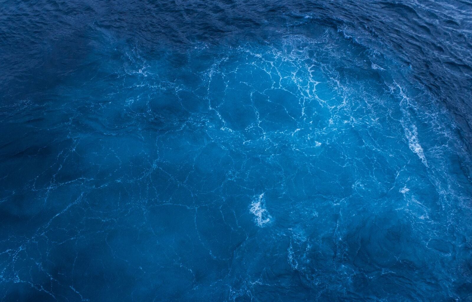 The ocean produces roughly half of Earth’s oxygen — not the rainforest, which uses up most of what it makes — through photosynthesis by phytoplankton, microscopic marine organisms so abundant that a single teaspoon of seawater can contain as many as a million of them.
