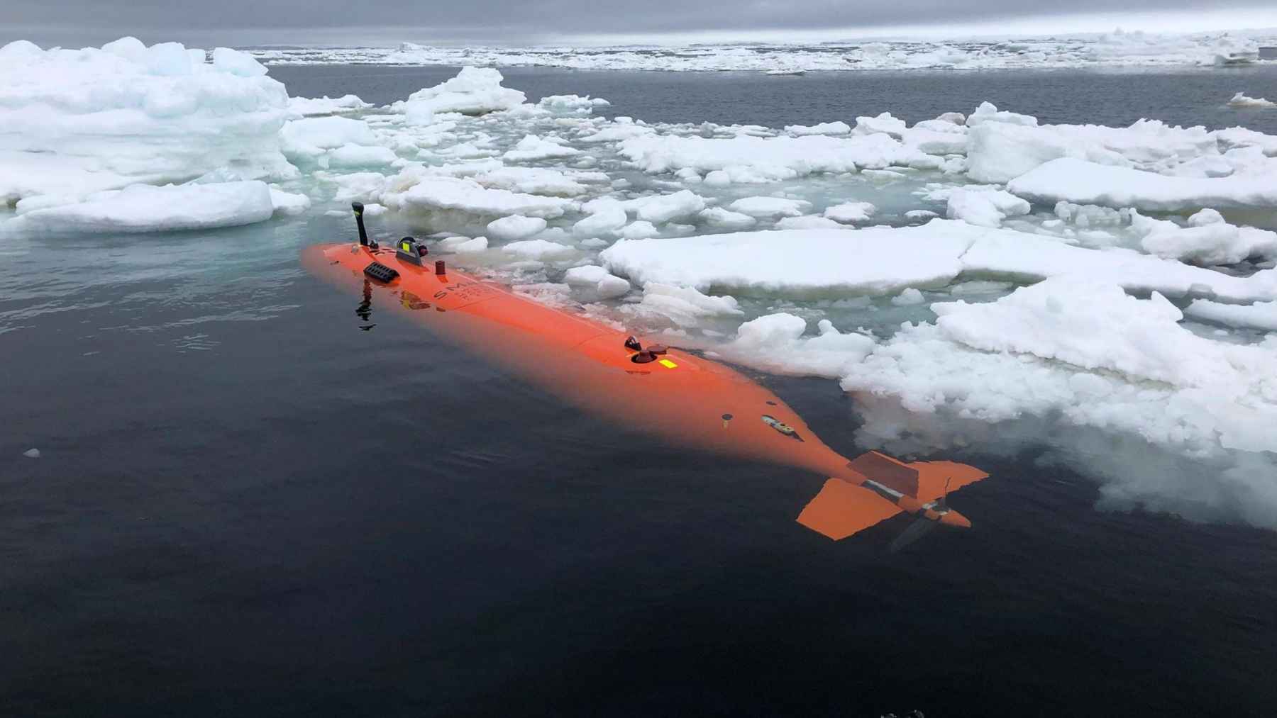 Bright orange autonomous submarine Ran floating among Antarctic sea ice during a mission near the Dotson Ice Shelf.