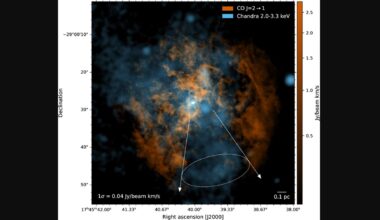 Discovery Of An Active Wind From The Milky Way’s Central Black Hole