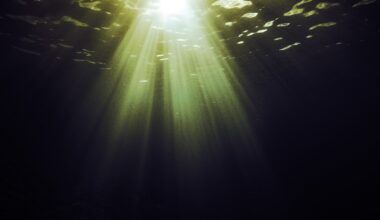 Scientists Have Detected Something Deeply Alarming at the Bottom of the Ocean