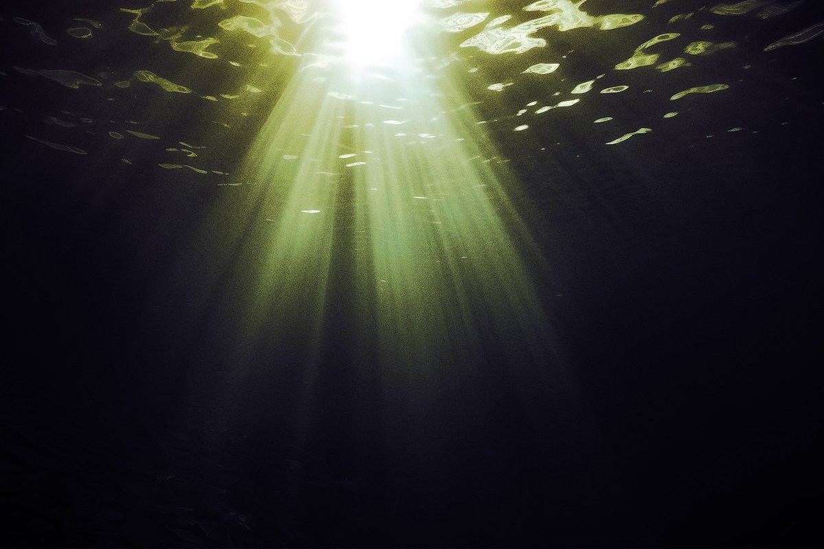 Scientists Have Detected Something Deeply Alarming at the Bottom of the Ocean