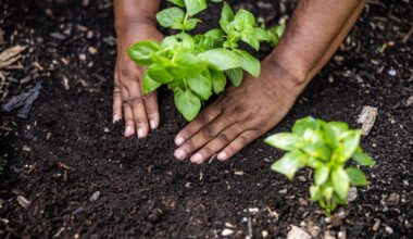 Does The Future of Climate Resilience Lie Beneath Our Feet?