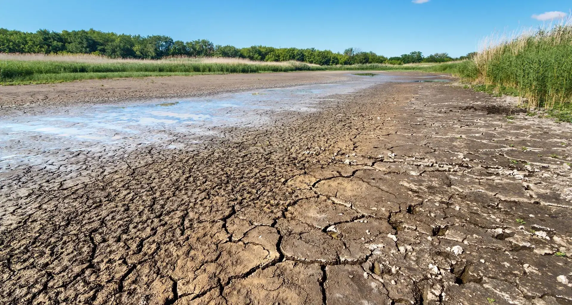 Meteorological, agricultural, hydrological: 3 types of drought