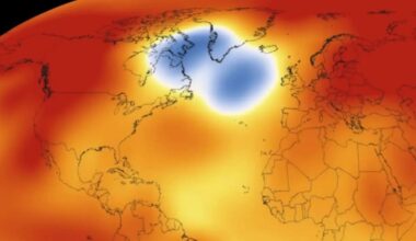 Mysterious ‘cold blob’ in the ocean has puzzled scientists