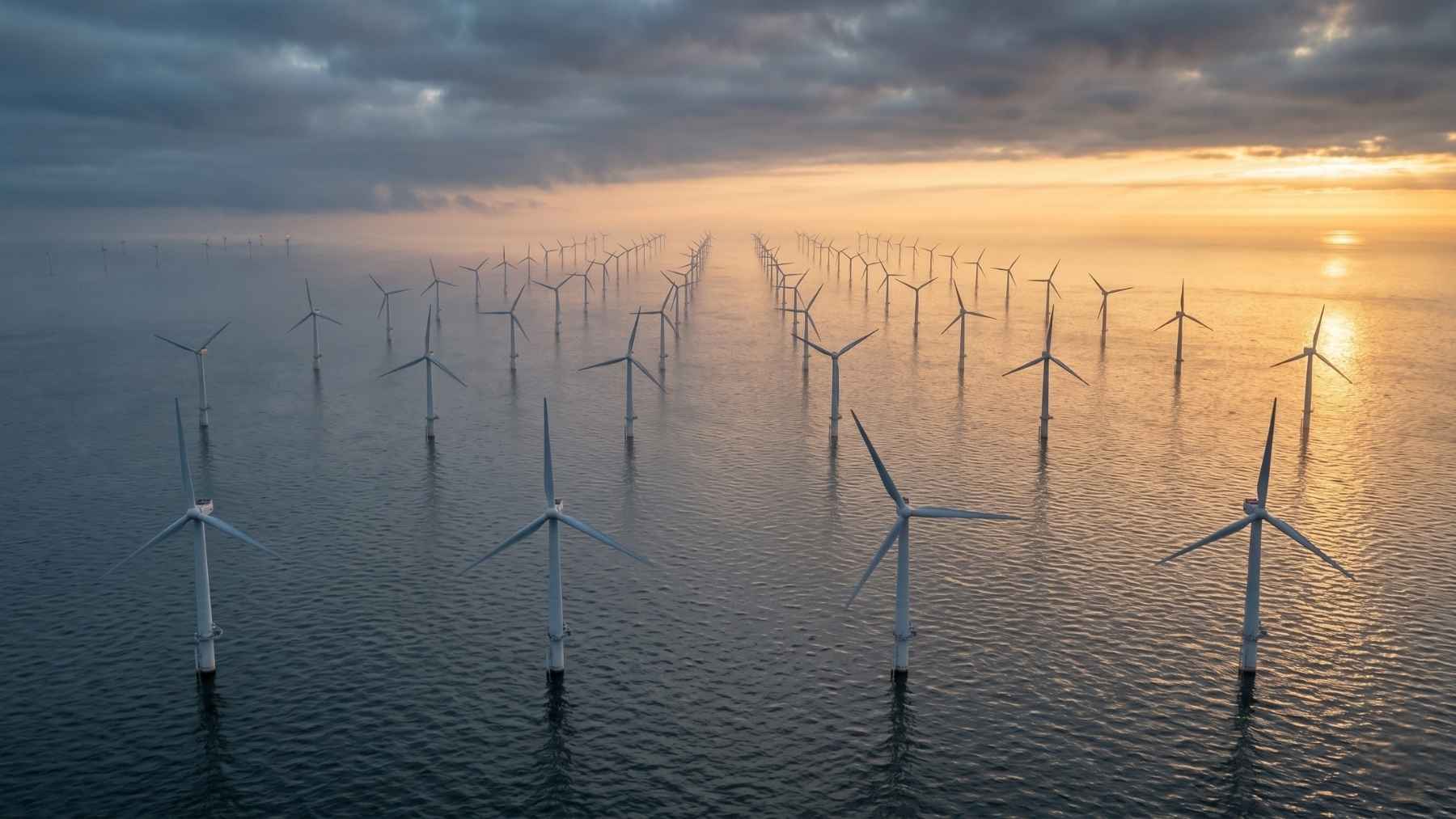 Scientists strapped GPS trackers to seals in the North Sea expecting them to flee the wind farms, but the animals were hunting along the turbines instead, swimming the rows so precisely you could map every foundation from a single seal’s trail