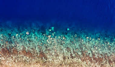 Less than a third of the world's ocean floor has been mapped to modern standards, meaning humanity currently knows more about the surface of Mars than about the seabed covering two thirds of its own planet