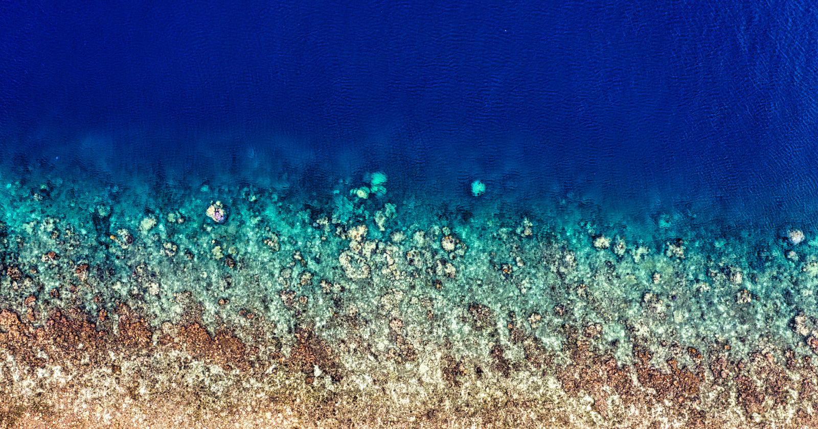 Less than a third of the world's ocean floor has been mapped to modern standards, meaning humanity currently knows more about the surface of Mars than about the seabed covering two thirds of its own planet