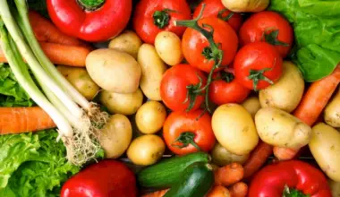 6 Foods That Enhance Memory as You Age