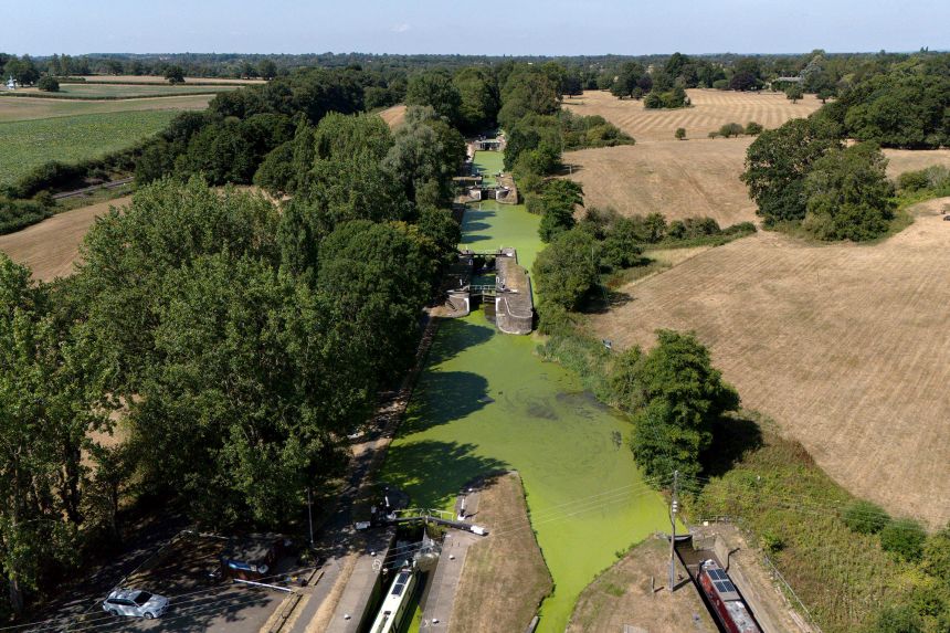 Water levels in rivers and canals have reduced and algae has grown through rising water temperatures.
