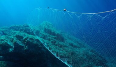Fishing net under water gillnet in the ocean with rock and blue water