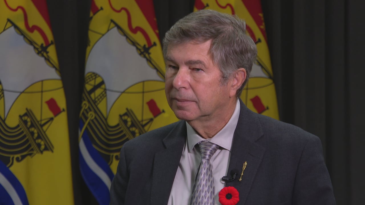 Man in suit with salt and pepper hair standing in front of three New Brunswick flags