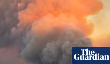 Record wildfires in Europe show failure to adapt carries a mounting cost | Wildfires