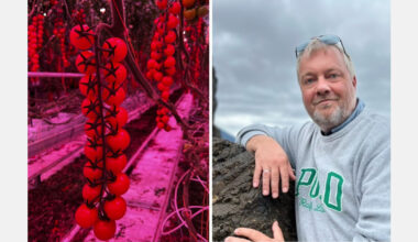 Growing through winter despite 7x higher electricity prices