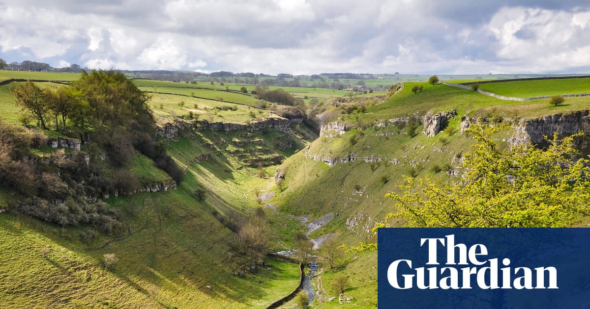 Plan to restore nature in England by 2030 criticised as ‘completely insufficient’ | Environment policy
