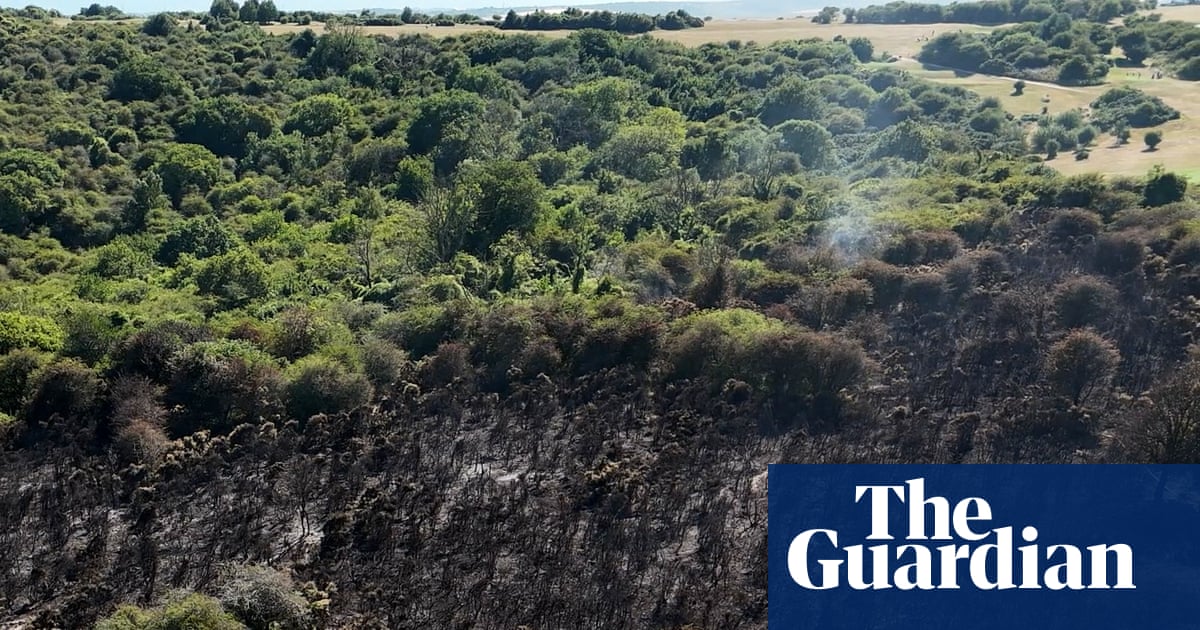 Most UK media reports on June heatwave failed to mention climate crisis | Extreme heat