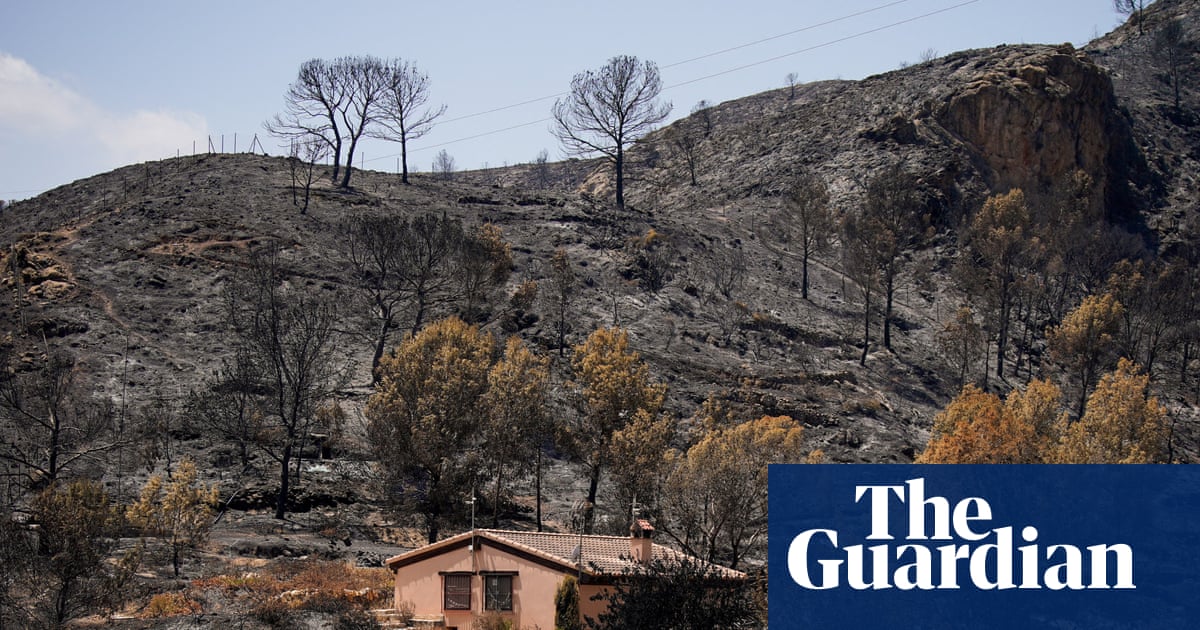 Seven Britons among 12 foreign nationals killed in Spain’s deadly wildfires | Spain