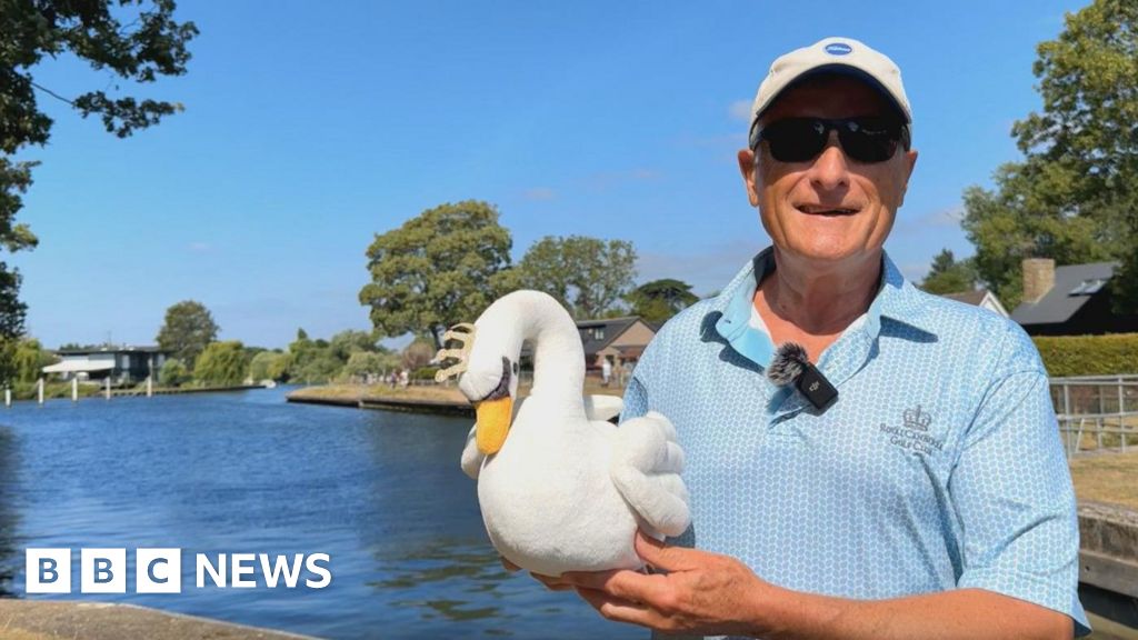 'Why fantastic swan count in Surrey was a must see on UK trip' - BBC