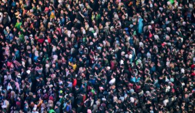 Study reveals halving human population gradually could help Earth