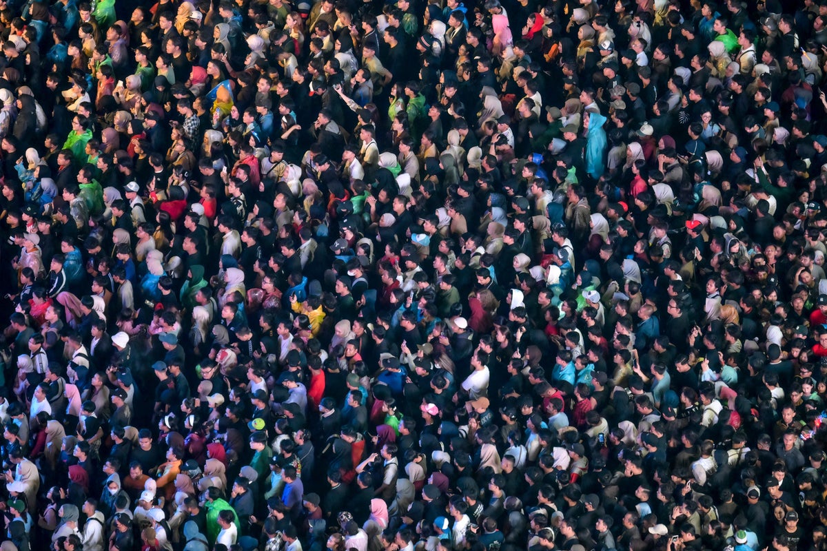 Study reveals halving human population gradually could help Earth