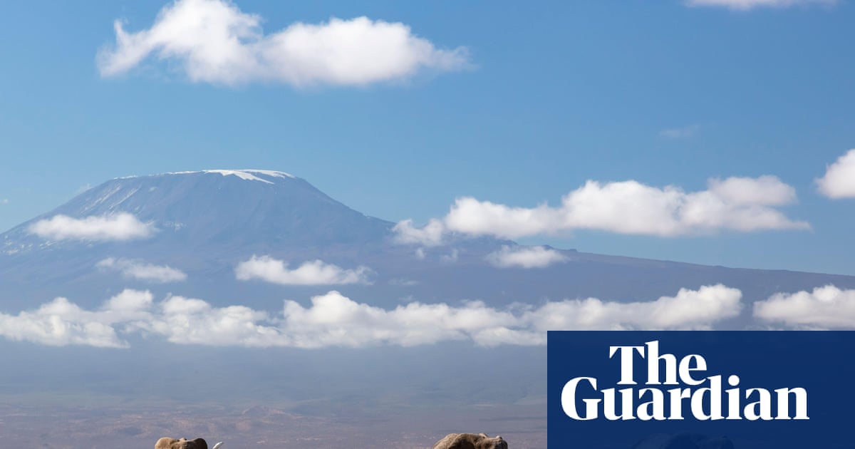 Kenya investigating unexpected deaths of 15 elephants in national park | Kenya