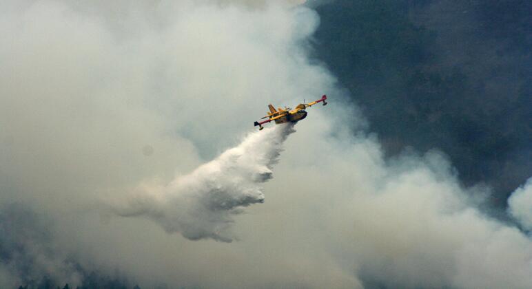 Wildfires: Prevention is the best defence, UN says