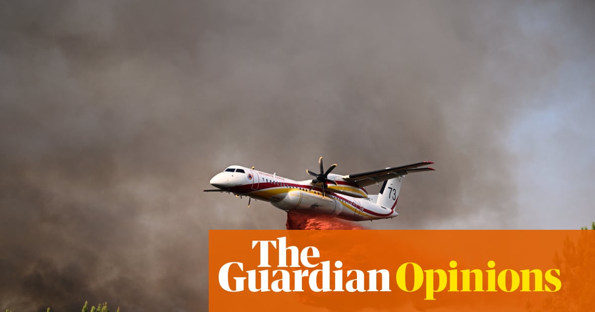 I study the boreal forest. This summer wildfires came for my home | Julee Boan