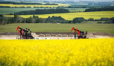 Canadian economy grew 0.3% in May, paving way for 2nd-quarter rebound