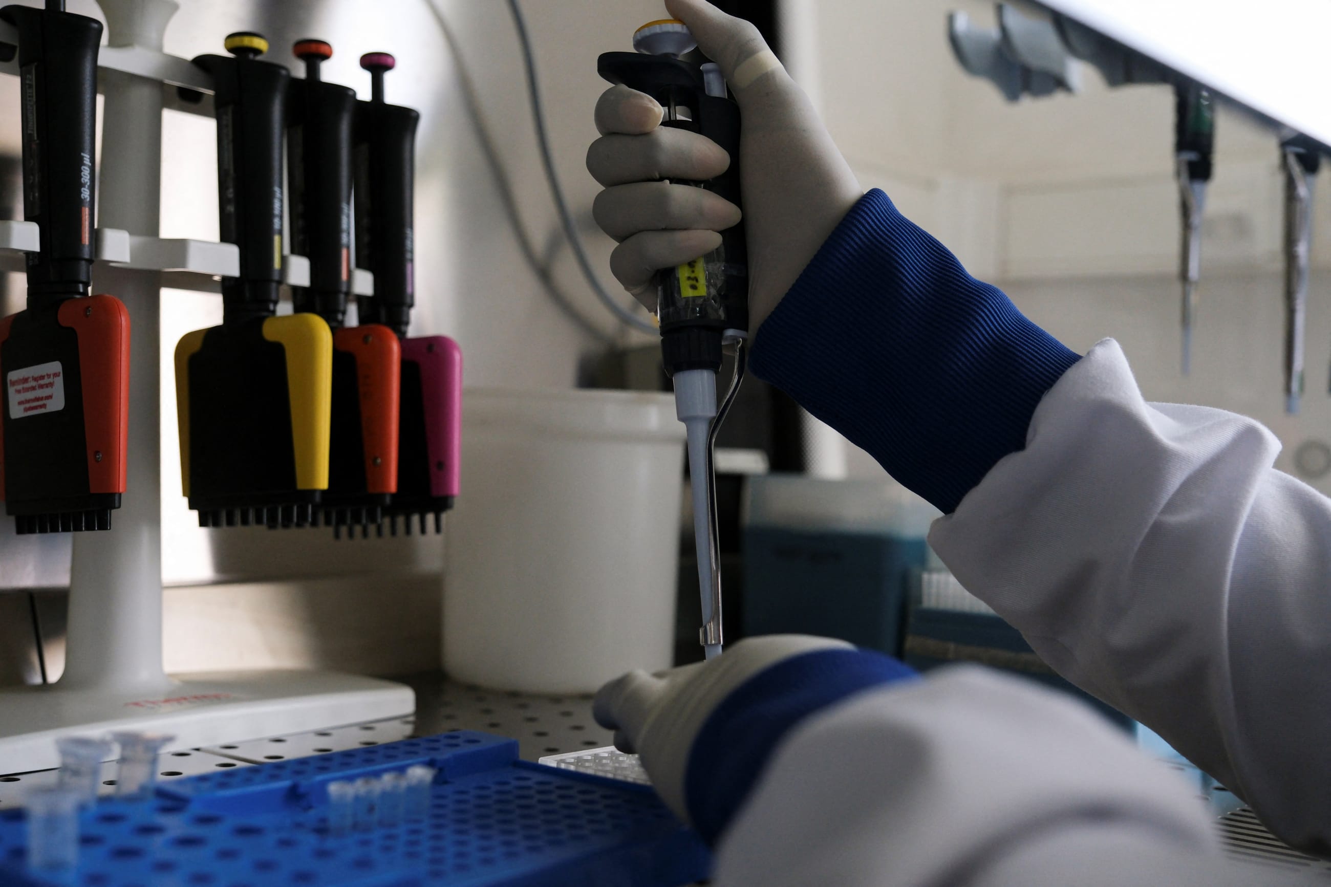 Seynabou Diop works in a laboratory where the hantavirus genome was sequenced, at Institut Pasteur, in Dakar, Senegal, on May 19, 2026.