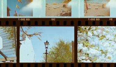 Why Gen Z is falling in love with film photography – and rejecting the algorithm along with it