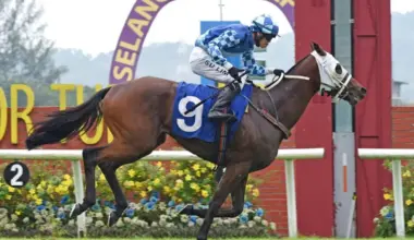 Maynard guns for 2nd 3YO Mile Championship