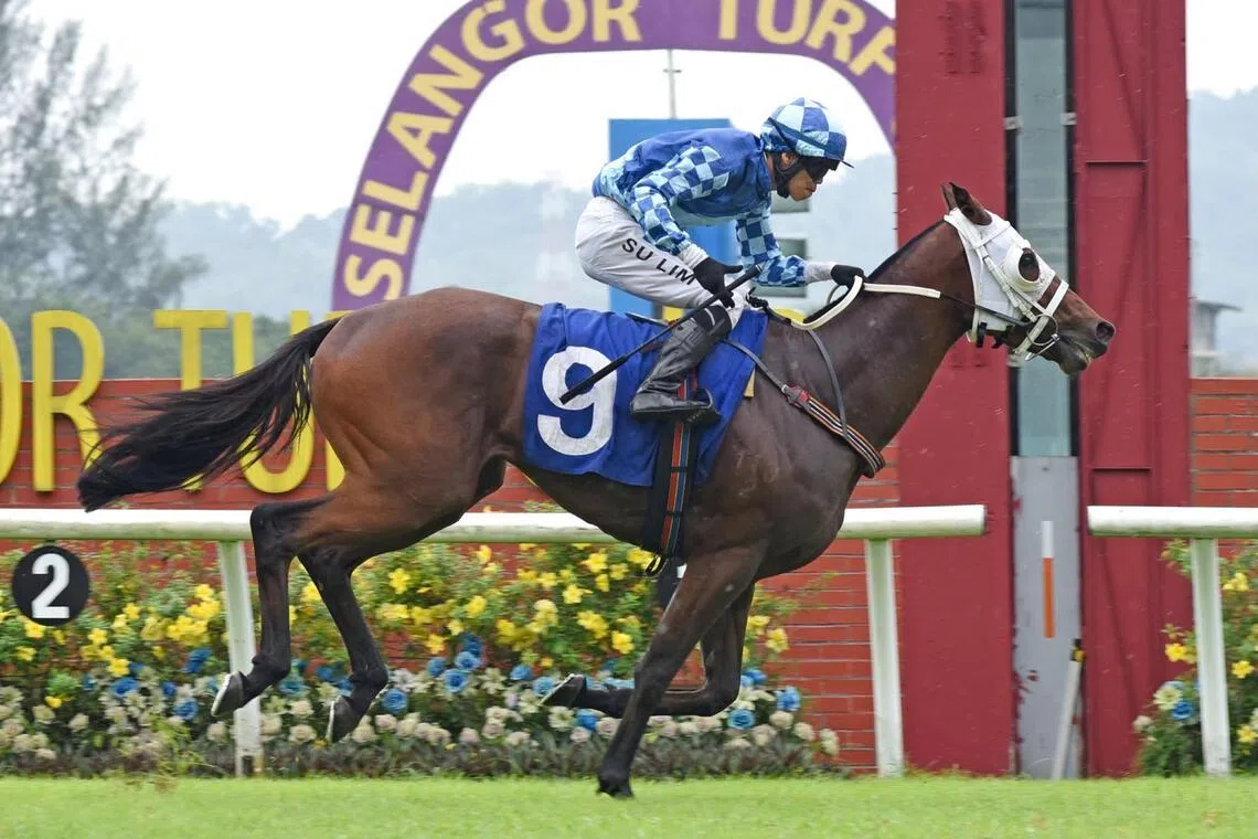 Maynard guns for 2nd 3YO Mile Championship