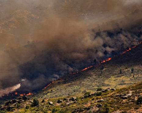 A wall of flames advances as a wildfire burns near Burgohondo, in Ávila province, Spain.