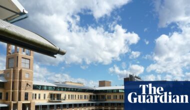 UNSW academic subjected to Nazi salutes in class, antisemitism commission hears | Royal commission on antisemitism and social cohesion