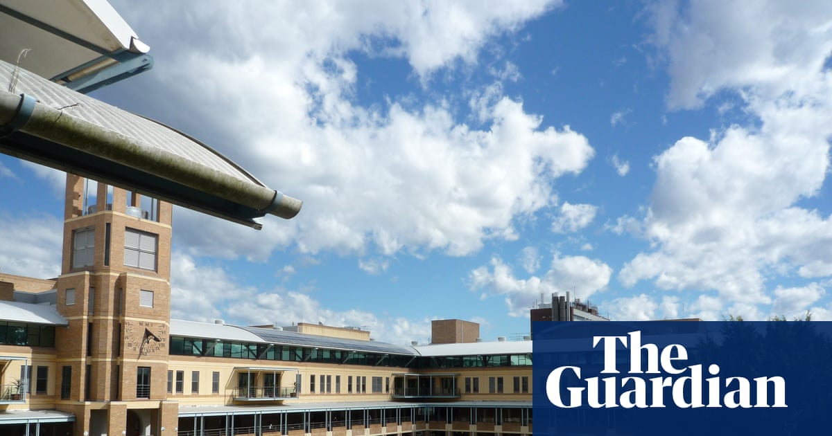 UNSW academic subjected to Nazi salutes in class, antisemitism commission hears | Royal commission on antisemitism and social cohesion