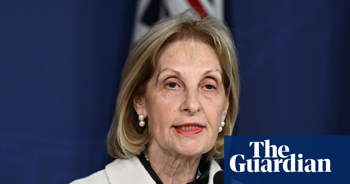 ABC and SBS need ‘oversight’ committee to vet Israel coverage, Jillian Segal tells royal commission | Royal commission on antisemitism and social cohesion