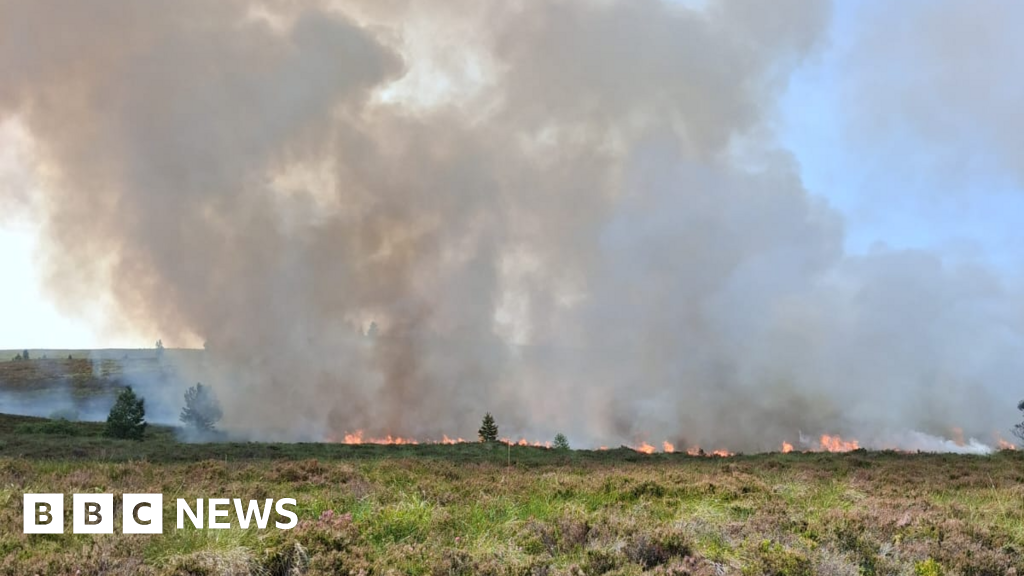 Wildfire breaks out in Highland nature reserve famous for ospreys - BBC