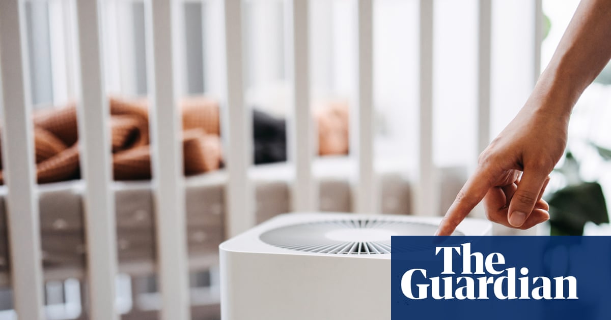 What does an air purifier do and can it help with wildfire smoke? | Well actually