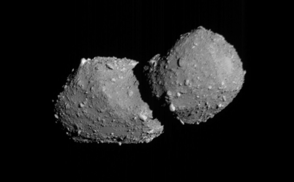 Asteroid Torfinue, ©JAXA, The University of Tokyo, Chiba Institute of Technology, Tokyo University of Science, National Institute of Advanced Industrial Science and Technology, Paris Observatory, Canary Islands Institute for Astrophysics